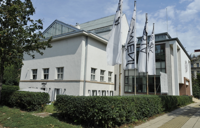 Husa na provázku se na den vrátila do Domu umění, kde začínala