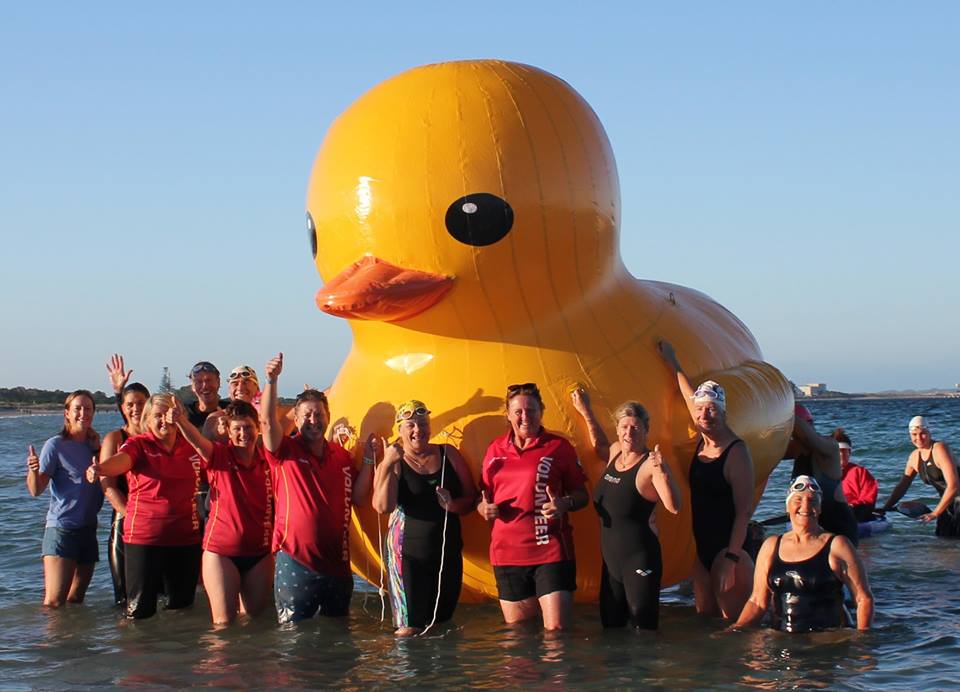 Oblíbený maskot australského plaveckého klubu: kachnička Daphne.