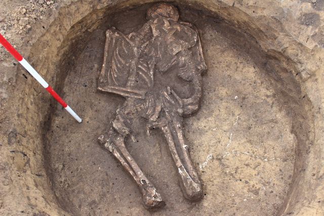 Archeologové vykopali ve vyškovské průmyslové zóně unikátní kosterní pozůstatky.