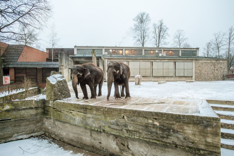 Zoo Liberec.