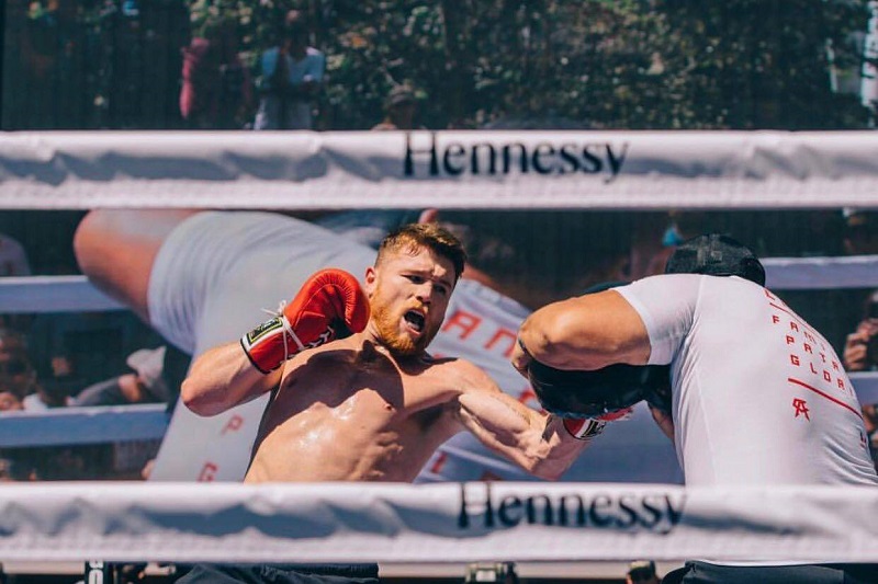 Mexičan Saúl "Canelo" Álvarez zrušil plánovaný květnový souboj s Gennadijem Golovkinem. Mexičan Saúl "Canelo" Álvarez zrušil plánovaný květnový souboj s Gennadijem Golovkinem.