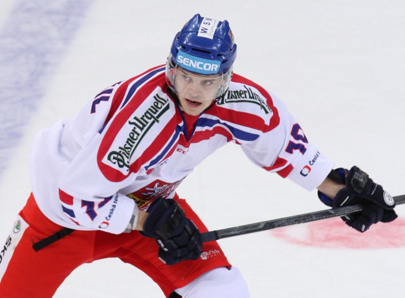 Andrej Nestrašil věří v účast na světovém šampionátu.