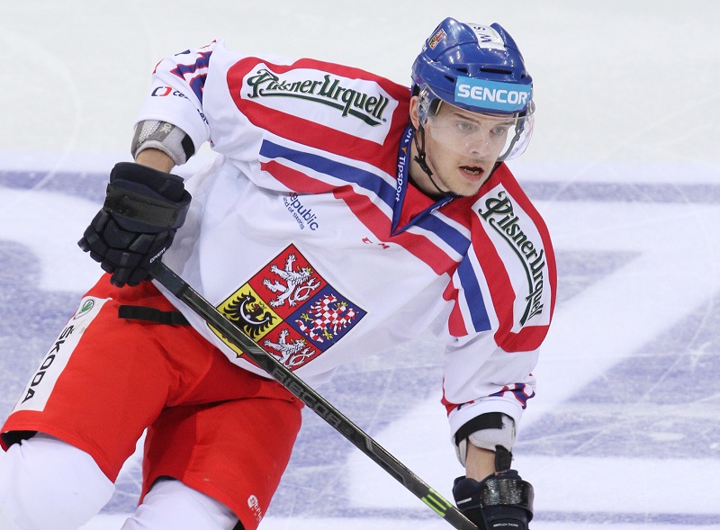 Andrej Nestrašil dvěma body pomohl k obratu reprezentace ve Francii.