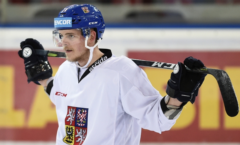 Hokejový útočník Andrej Nestrašil v reprezentačním dresu. 