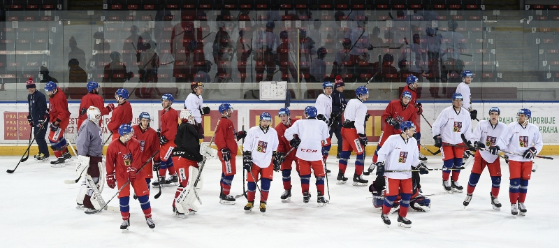 Česká hokejová reprezentace na jednom z tréninků. 