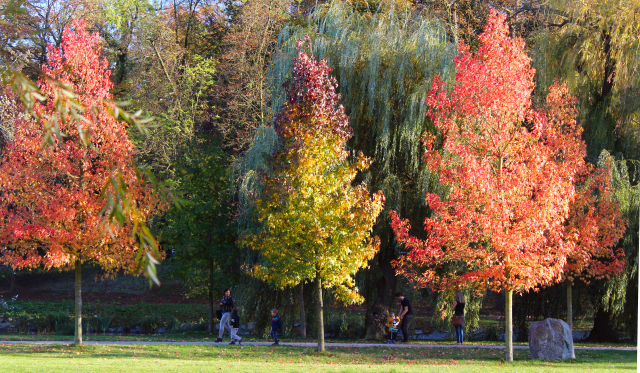 Park (ilustrační snímek). Park (ilustrační snímek).