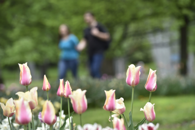 Flora Olomouc.