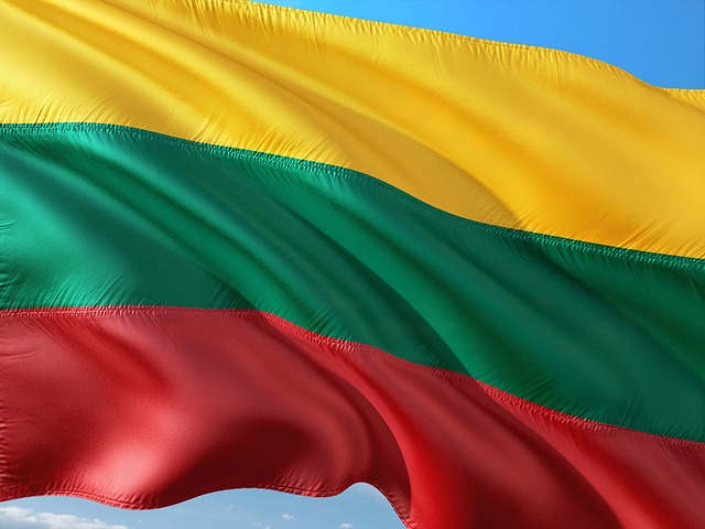 Litevská vlajka. Litevská vlajka.