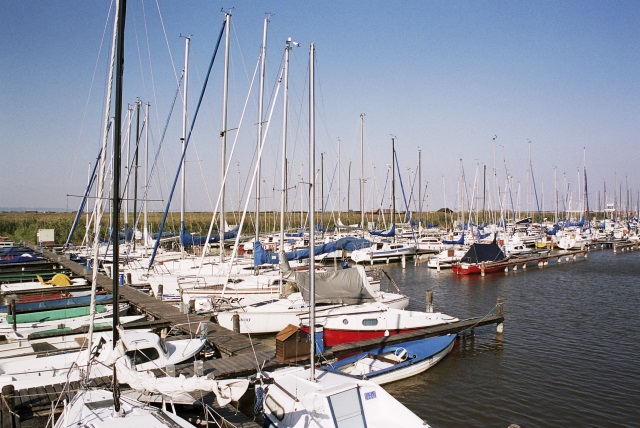 Neziderské jezero (archivní foto). 
