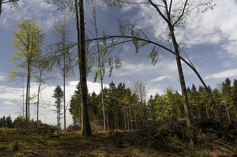 Ilustrační foto.