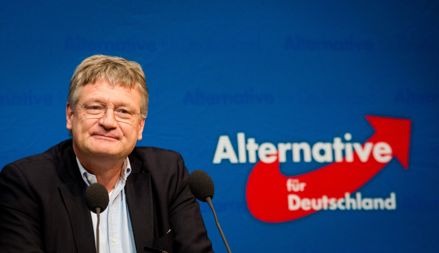 Joerg Meuthen (AfD).