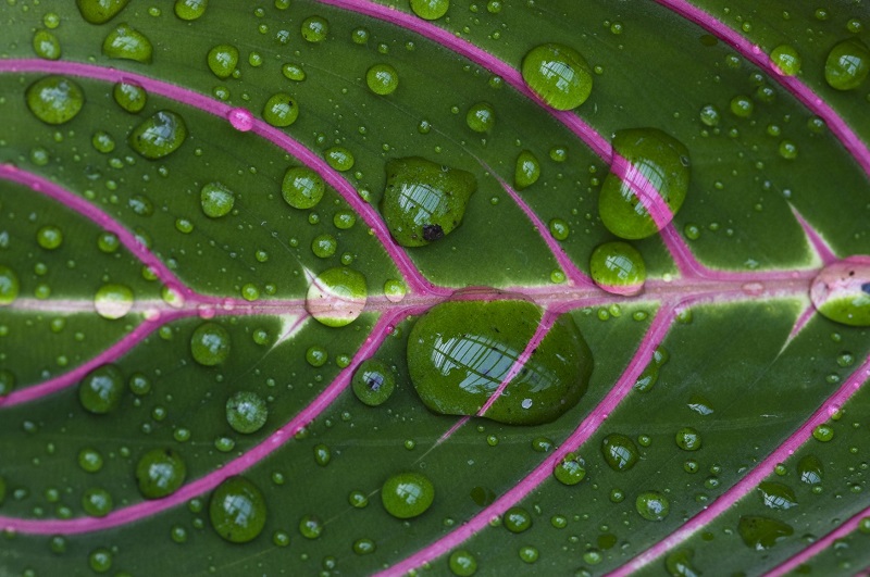 Ilustrační foto.