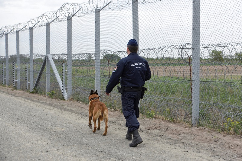 Maďarsko navádí NATO, aby přehodnotilo přístup k Ukrajině