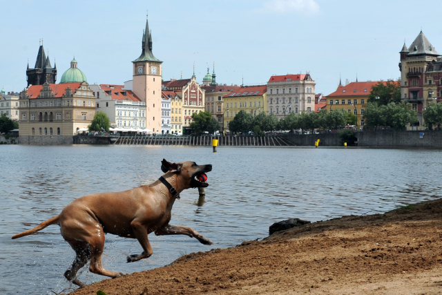 Ilustrační foto.
