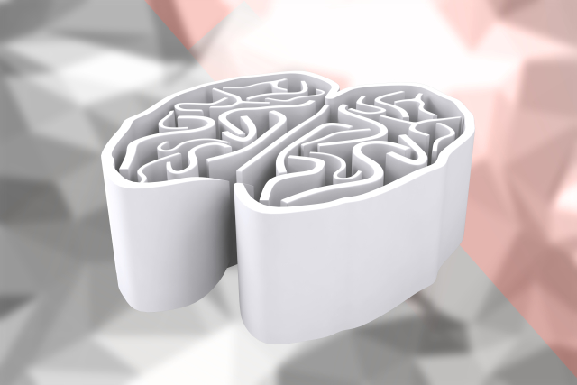 Nový robotický přístroj detailně zobrazuje strukturu mozku (ilustrační foto).