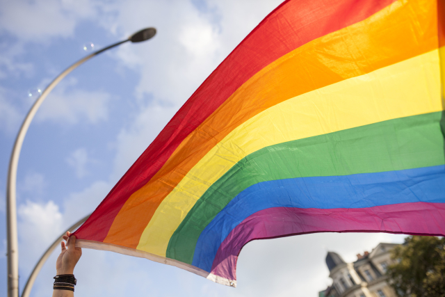 Vlajka průvodu Gay Pride. Vlajka průvodu Gay Pride.