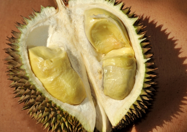 Durian, který je známý svým ostrým, nepříjemným pachem, pochází z jihovýchodní Asie. Durian, který je známý svým ostrým, nepříjemným pachem, pochází z jihovýchodní Asie.