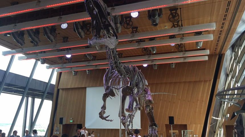 Kostra dinosaura se na Eiffelovce vydražila za dva miliony eur
