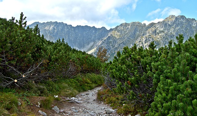 Tatry (ilustrační foto). Tatry (ilustrační foto).