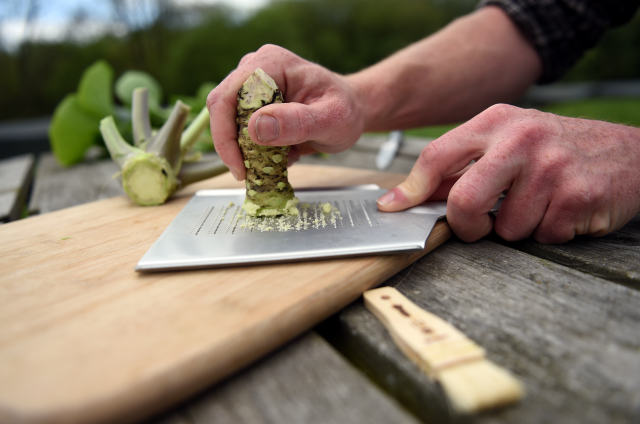 Křen wasabi.