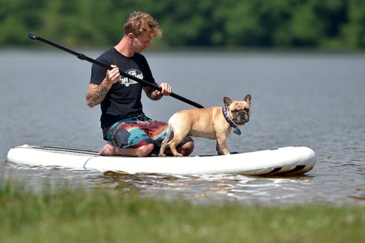 Paddleboard fest přilákal 17. června 2018 k rybníku v Nové Roli na Karlovarsku stovky lidí. Součástí akce byl závod v paddleboardingu a zájemci o tento sport si také mohli paddelboardy vyzkoušet.