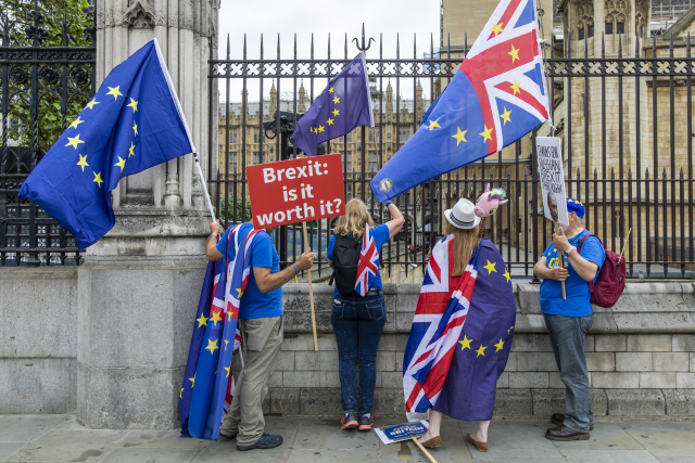 Londýnský demonstrace britských občanů, kteří nesouhlasí s brexitem. 
