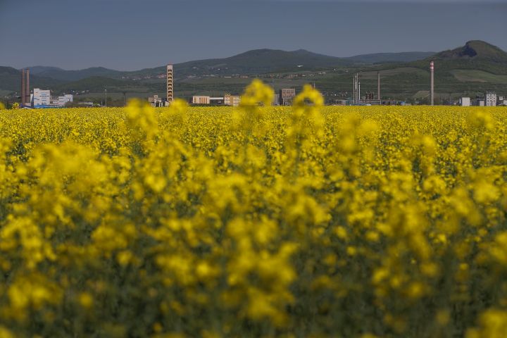 Ilustrační foto.