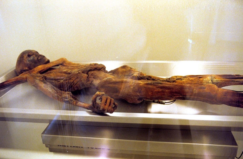 Ötzi vystavený v muzeu. 