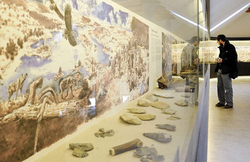 Archeopark pravěku Všestary je veřejnosti otevřen od roku 2013.