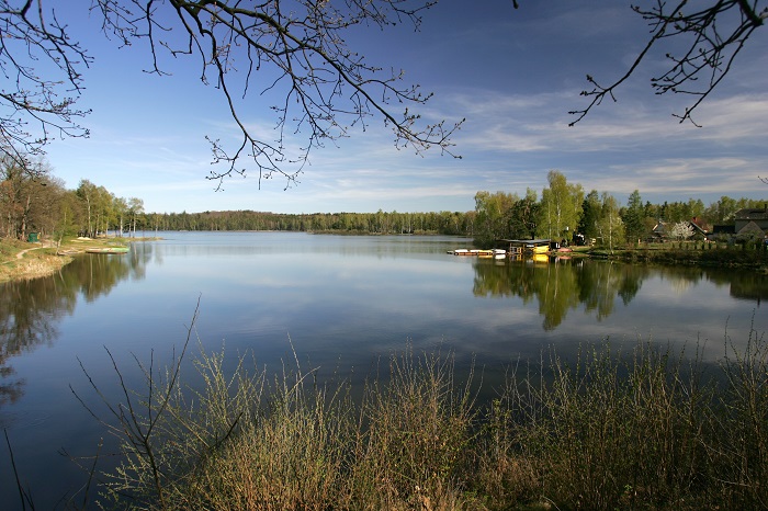Rybník (ilustrační foto).