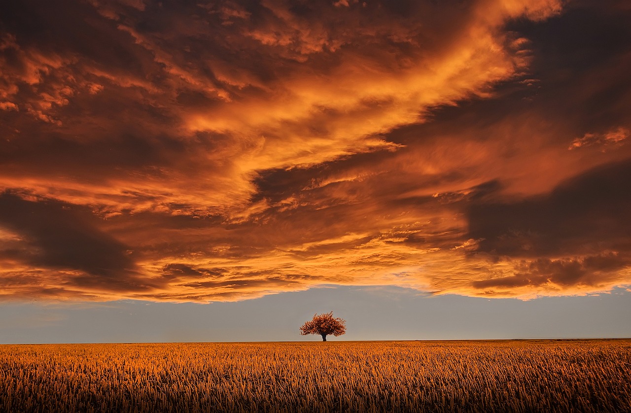 Ilustrační foto.
