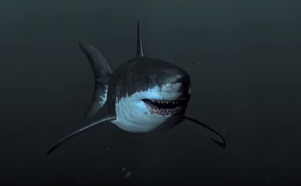 Megalodon.
