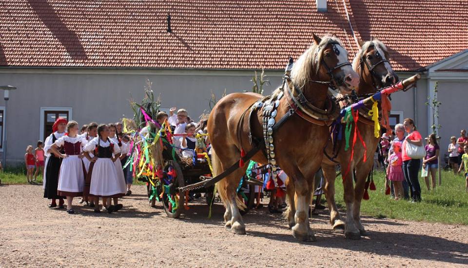 Dožínky v turistickém centru Eden.