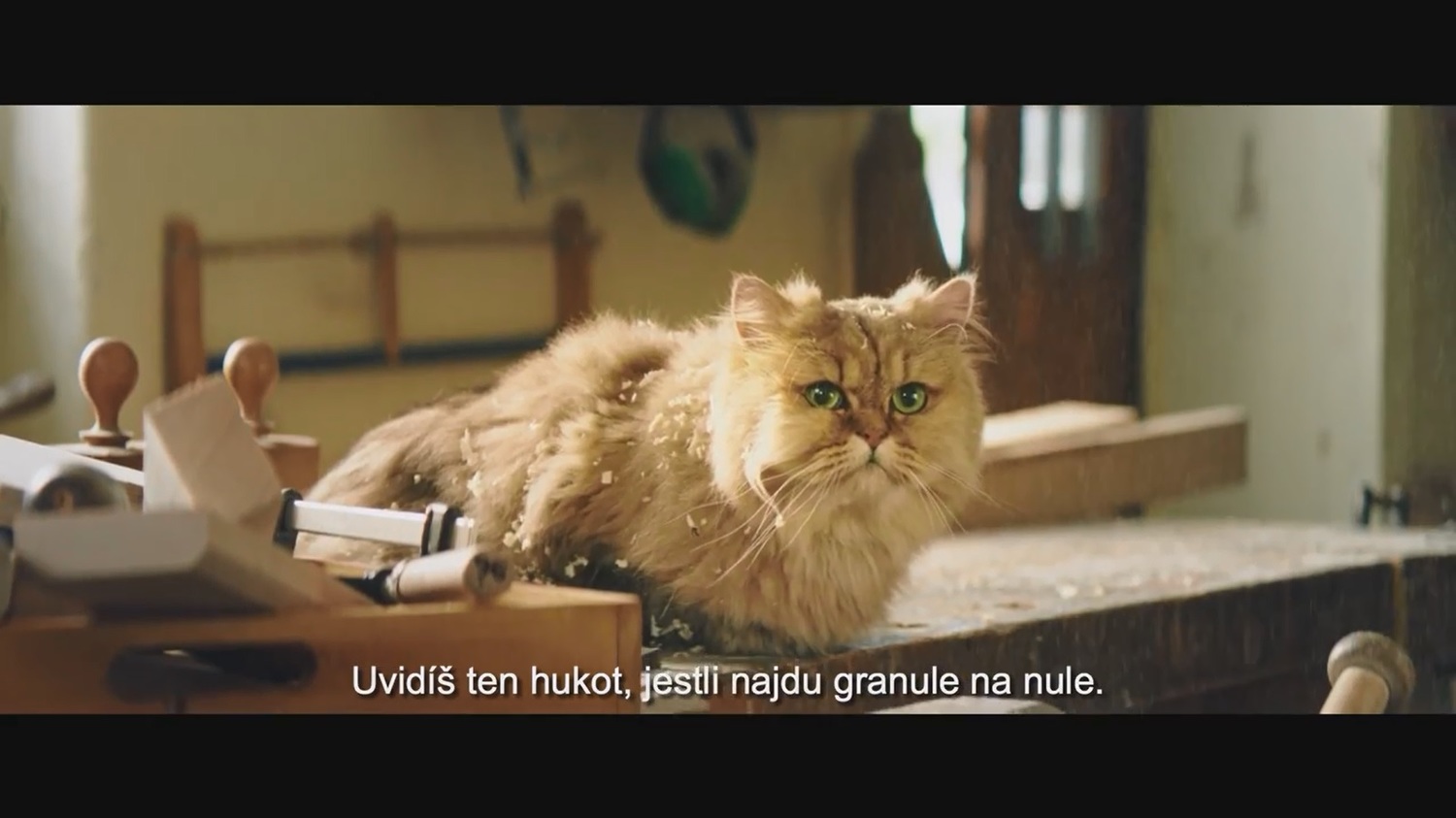bez popisku 1066108
