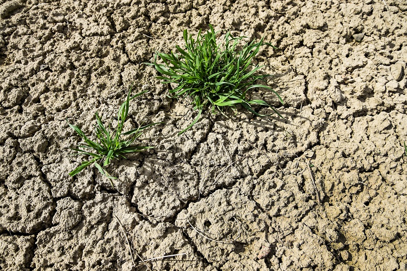Sucho trápí velkou část Evropy. Sucho trápí velkou část Evropy.