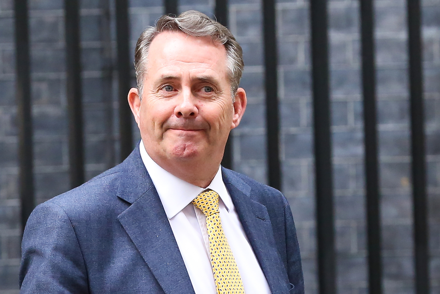 Britský ministr pro mezinárodní obchod Liam Fox.