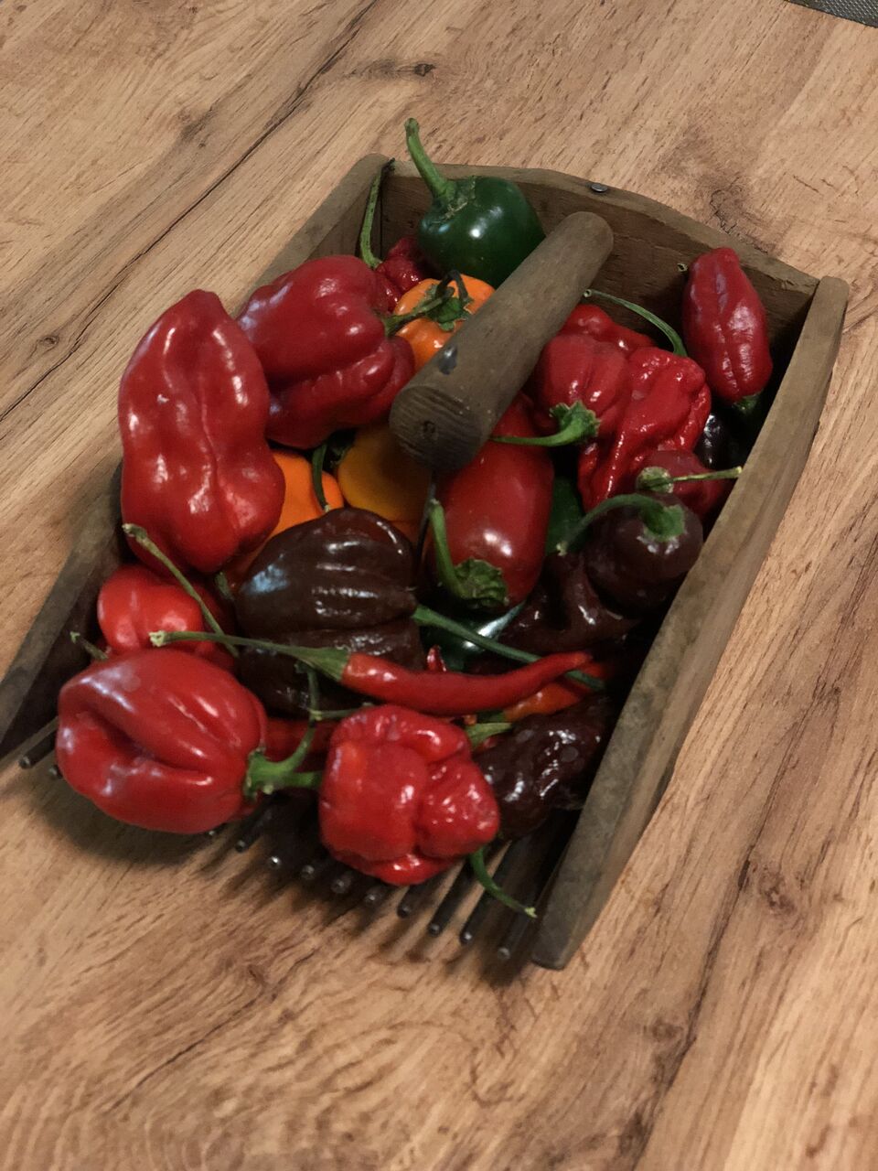 Pražská restaurace Sia pořádá chilli festival. Pražská restaurace Sia pořádá chilli festival.