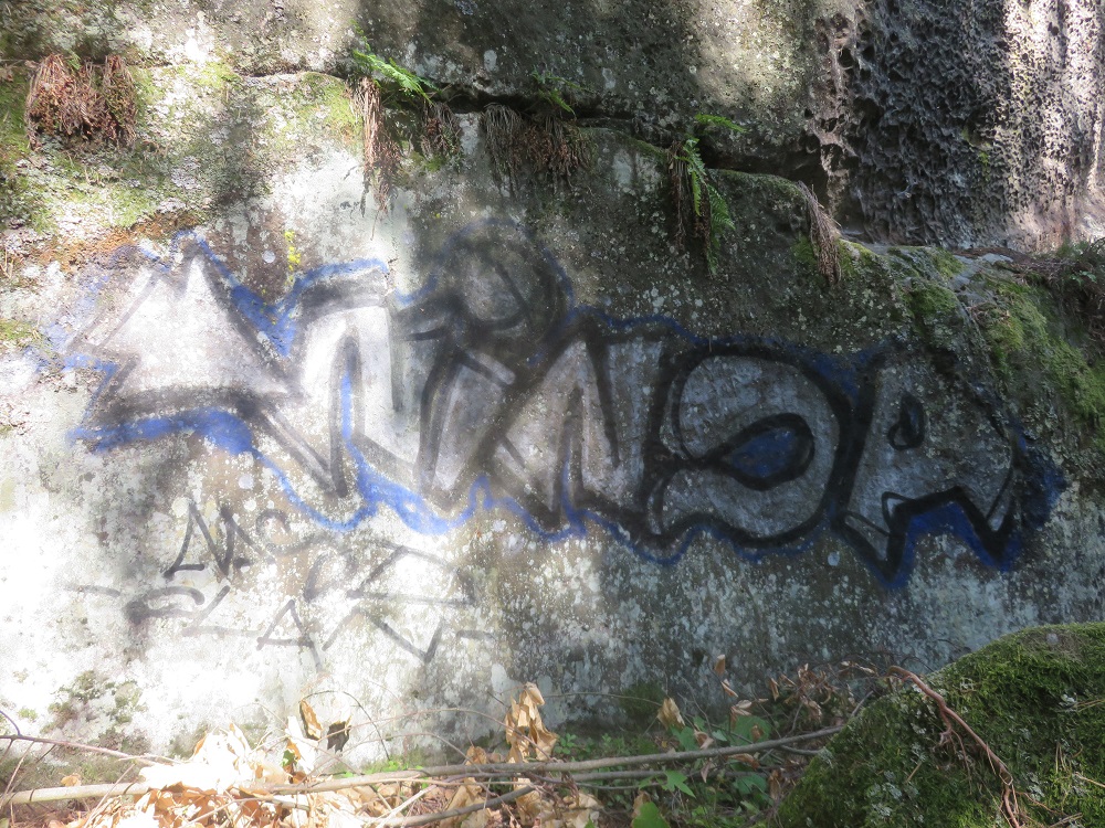 Viníkovi hrozí přísný trest. Viníkovi hrozí přísný trest.