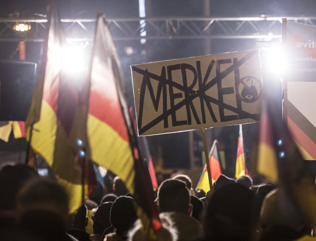 Demonstrace pořádaná Alternativou pro Německo. Demonstrace pořádaná Alternativou pro Německo.