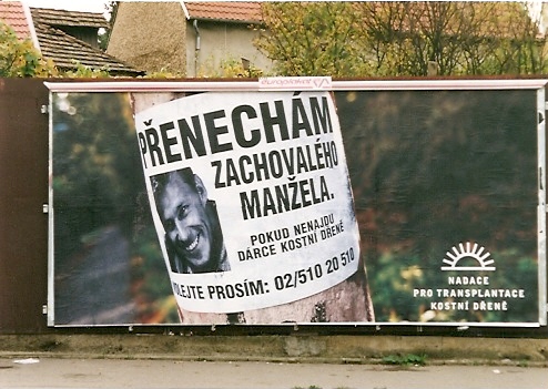 bez popisku 1069661