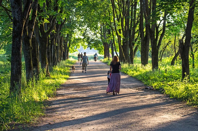 Ilustrační foto.