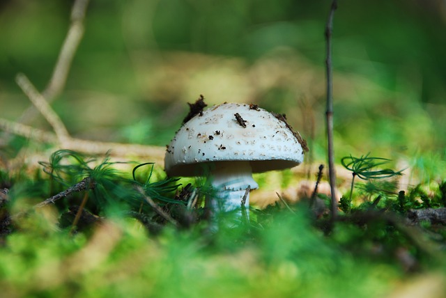 Ilustrační foto.