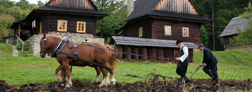 Valašské muzeum zve na Podzim na poli a v chalupě.