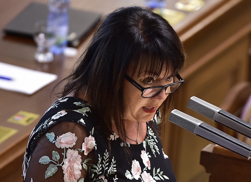 Ministryně financí Alena Schillerová (za ANO).