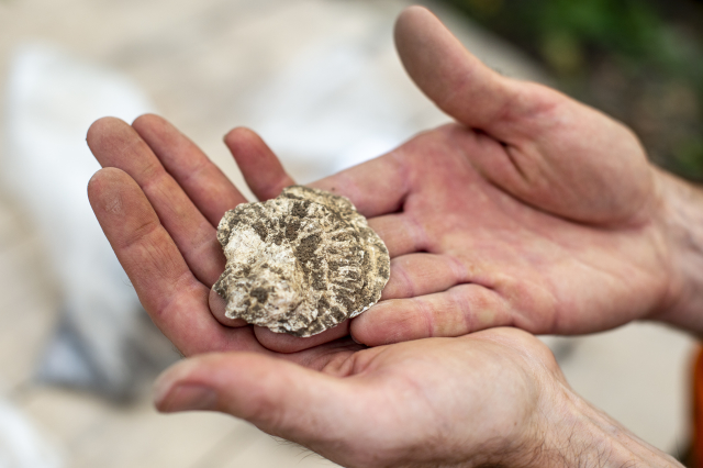 Hradečtí archeologové objevili u historického schodiště Bono publico část pravěkého valu z doby bronzové, který sloužil jako opevnění a v něm zlomky keramiky i pazourkové nástroje. Hradečtí archeologové objevili u historického schodiště Bono publico část pravěkého valu z doby bronzové, který sloužil jako opevnění a v něm zlomky keramiky i pazourkové nástroje.