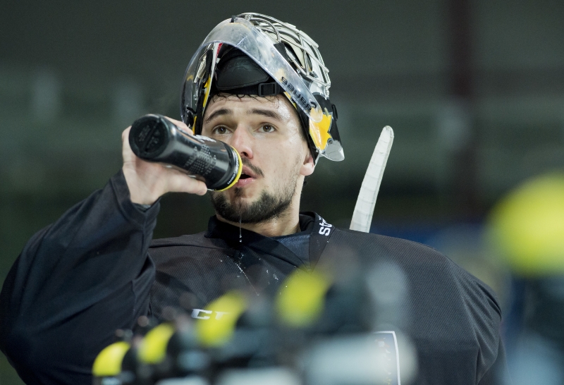 Hokejový brankář Jakub Kovář. 