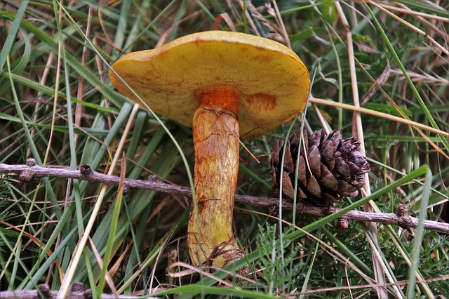 Ilustrační foto.