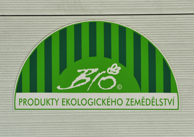 Ilustrační foto.