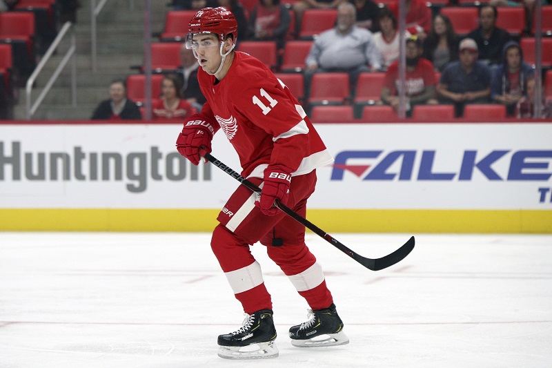 Osmnáctiletý Filip Zadina se radoval ve druhém vystoupení v dresu Detroitu (ilustrační foto).