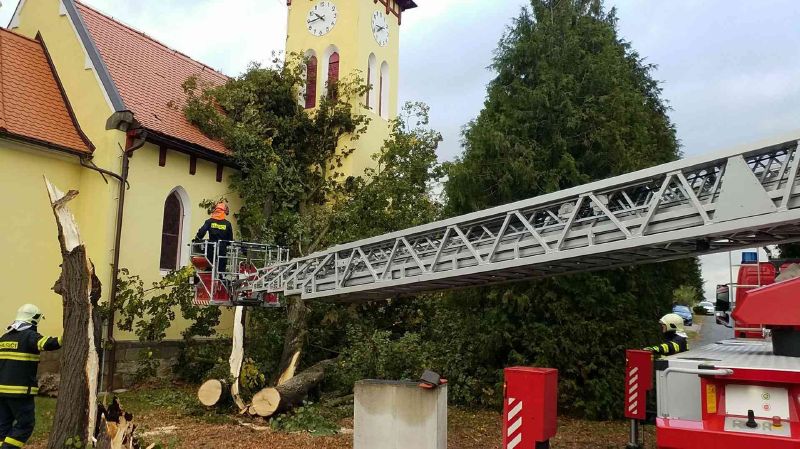 Ilustrační foto.
